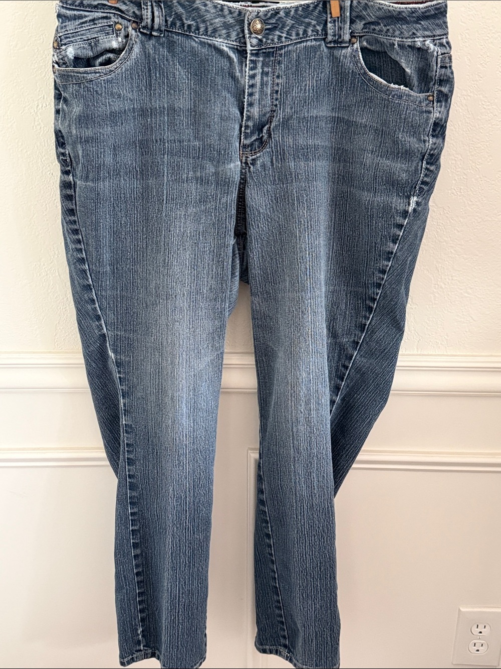 Lane Bryant Blue Straight Leg Jeans
